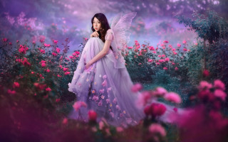 Purple dress woman flower butterfly - a field of flowers free wallpaper