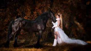 Woman horse field night starry - a horse in the background free wallpaper