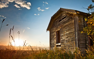 Wooden building sunset field bird - tall grass free wallpaper