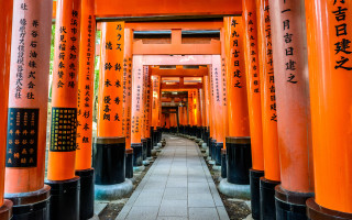 Orange columns asian writing tilt - a walkway free wallpaper