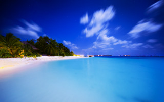 Beach moonlit palm trees night - dreamlike free wallpaper