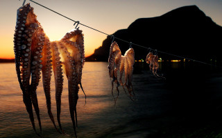 Octopus tentacles sunset mountain surrealist - andrea orcagna free wallpaper