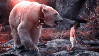 Boy bear stream rocks man - a man in the background free wallpaper