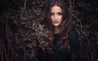 Woman bush leaves portrait flowers - branch free wallpaper