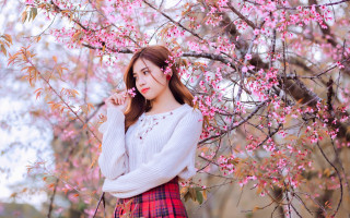Woman plaid skirt under tree - a white sweater free wallpaper