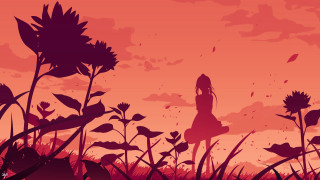 Flower field girl dusk autumn - a field of flowers free wallpaper