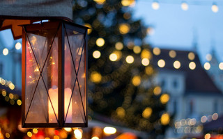 Lantern festival bokeh glow night - the background and a tree in the foreground free wallpaper