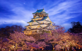 Tower clock trees flower night - a tall tower free wallpaper