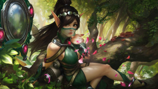 Elf forest sitting mirror flower - a green outfit free wallpaper