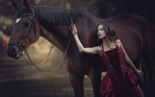 Red dress woman horse woodland - area free wallpaper