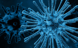 Blue background circular design microscopic - bottom free wallpaper