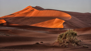 Desert small tree mountain sky - a sky line free wallpaper