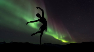 Aurora person field night sky - daphne mcclure free wallpaper