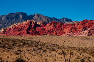 Mountain range desert cactus blue - carl hoppe free wallpaper