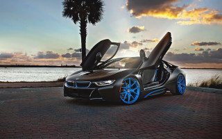 Bmw doors open brickroad palmtrees - its door free wallpaper