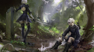 Andor basch niar automata forest - overhead in the background free wallpaper