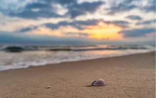 Shell beach sunset clouds ocean - a sunset in the background free wallpaper