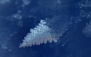 Leaf water droplets snow blue - a close up of a leaf free wallpaper
