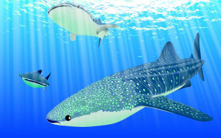 Fish ocean sunny blue water - illustration free wallpaper