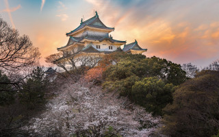 Tall building tower trees flowers - a tower free wallpaper
