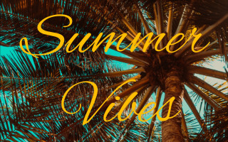 Palm tree summer vibes fireworks - free summer wallpaper for desktop