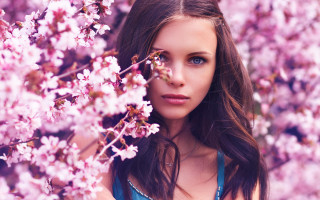 Woman flower field blue eyes 2 - a field of flowers free wallpaper