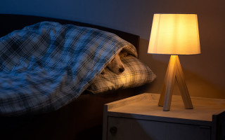Bed lamp pillow plaid blanket - diffuse free wallpaper