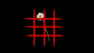 Flower red moon girls black - a single flower free wallpaper