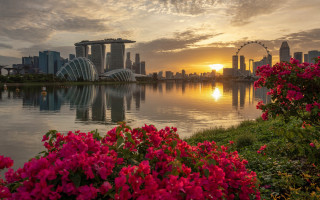Sunset city ferriswheel flowers water - the foreground and a body of water free wallpaper