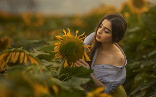 Woman sunflower field blurry motion - the wind free wallpaper