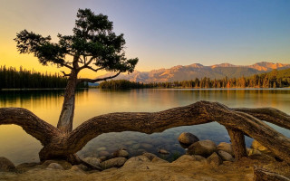Tree lake mountains sunset dawn 2 - sunset free wallpaper