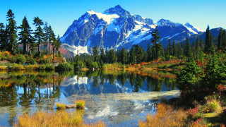 Mountain range lake trees grass - tree and grass free wallpaper