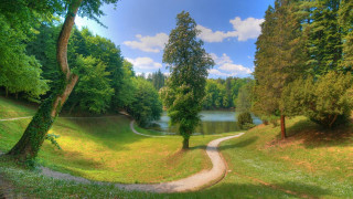 Park path lake trees nature - a path in a park free wallpaper