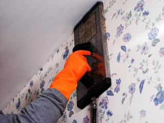Cleaning orange gloves wall power - floral free wallpaper