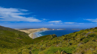 Bascove beach hilltop landscape water - a view of a beach free wallpaper