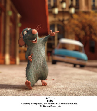 Cartoon mouse standing hind legs - its hind leg free wallpaper