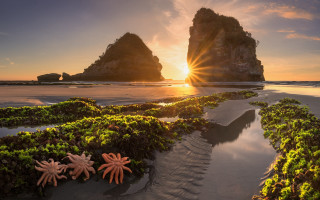Beach rocks seaweed sunset landscape - the sand free wallpaper