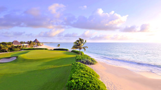 Beach golf course ocean palm - a palm tree in the foreground free wallpaper