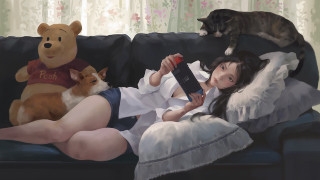 Woman couch stuffed animal cat - stuffed free wallpaper