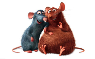 Mice couple touching face white - the others face free wallpaper
