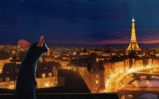 Cat looking city lights night - the city free wallpaper