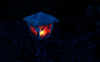 Lantern red light dark forest - free light wallpaper