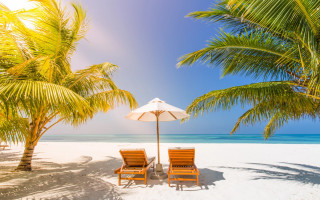 Beach chairs umbrella palm trees - blue sky free wallpaper