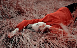 Woman red dress birdcage blood - black shoe free wallpaper