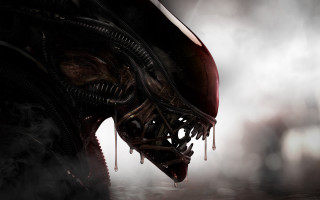 Alien head steam fogy background - steam free wallpaper