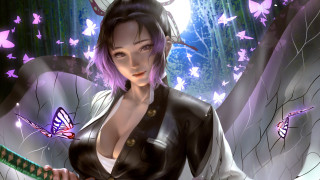 Purple butterfly woman haori katana - a green object free wallpaper