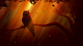 Owl forest sunset blood fire - a branch in a forest free wallpaper