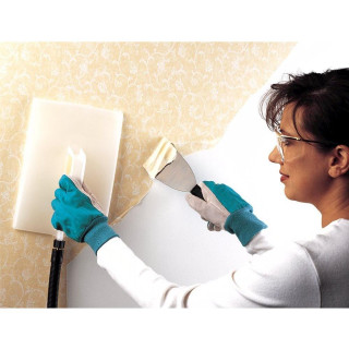 Woman blue gloves painting wall - evelyn abelson free wallpaper