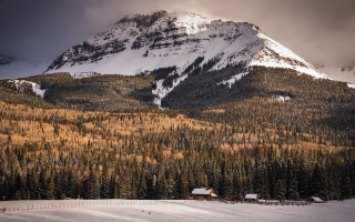 Mountain snowy forest cabin cloudy - david martin free wallpaper for desktop