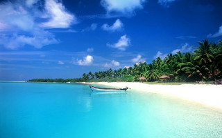 Boat beach water palm trees - white sand free wallpaper